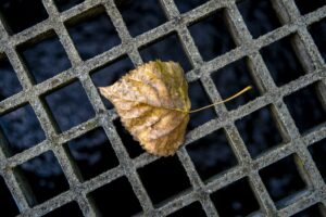 Bladrooster dakgoot met droog blad dat op metalen rooster ligt en waterafvoer beschermt tegen verstopping